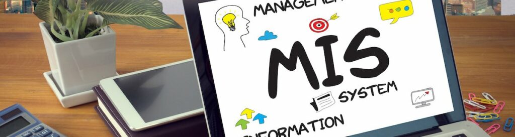 MIS Management Information System Data Development Information and MIS