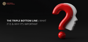 The Triple Bottom Line - What Is It and Why Does It Matter