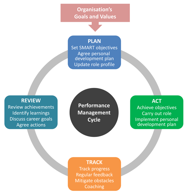 Performance Management Cycle